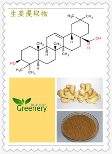 植物提取物行業(yè)推薦 西安綠澤在線供應的生姜提取物