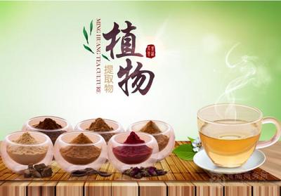 浙江茗皇 引領速溶茶與植物提取物產業的專業化發展