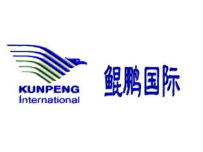 萬里鯤鵬 北京國際商務(wù)咨詢領(lǐng)域的領(lǐng)航者與信息橋梁